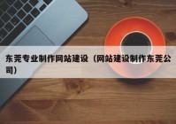 东莞专业制作网站建设（网站建设制作东莞公司）