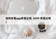 软件开发app开发公司（APP 开发公司）