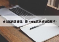 哈尔滨网站建设丿薇（哈尔滨网站建设蒸千）