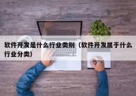 软件开发是什么行业类别（软件开发属于什么行业分类）