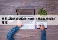 黑龙江做网站建设优化公司（黑龙江网络推广建站）